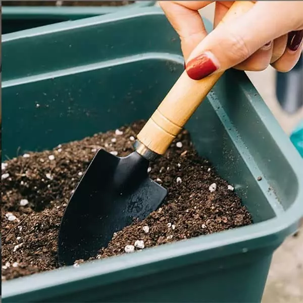 DY TOOLS Mini Plant Gardening Tools Set Iron with Wooden Handle, D21502 (Set of 3 Pcs)