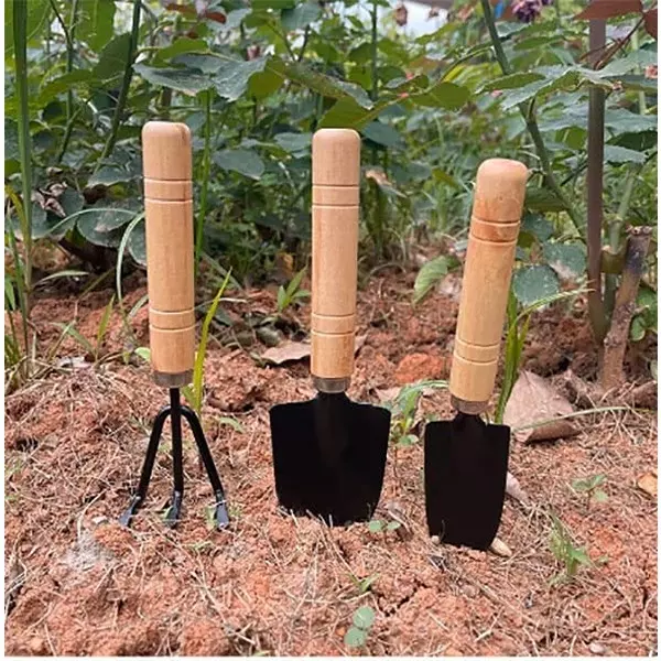 DY TOOLS Mini Plant Gardening Tools Set Iron with Wooden Handle, D21502 (Set of 3 Pcs)