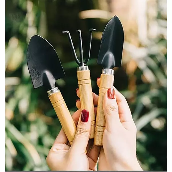 DY TOOLS Mini Plant Gardening Tools Set Iron with Wooden Handle, D21502 (Set of 3 Pcs)