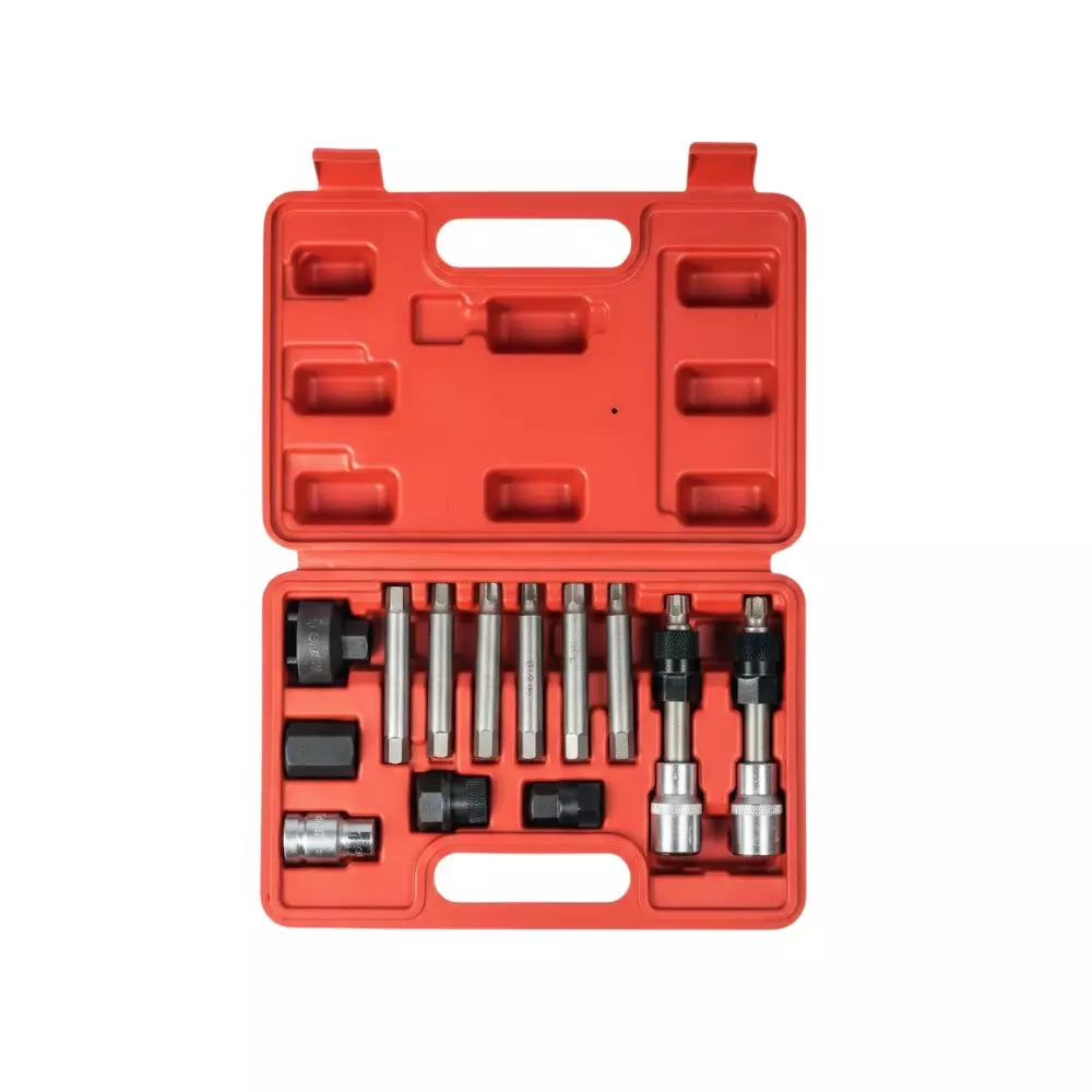 AGE TECH 13 Pcs Altermotor Pulley Removal Tool Kit for Use in Service Centers, Garages, Workshops, YZ-6067