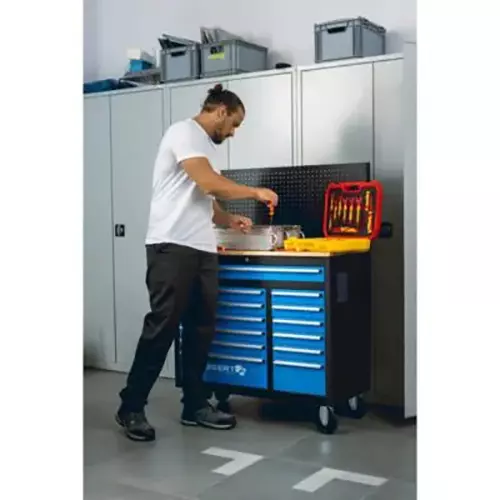 hogert-technik-workshop-cabinet-with-wall-panel-500-kg-maximum-load-capacity-and-13-drawers-ht7g044