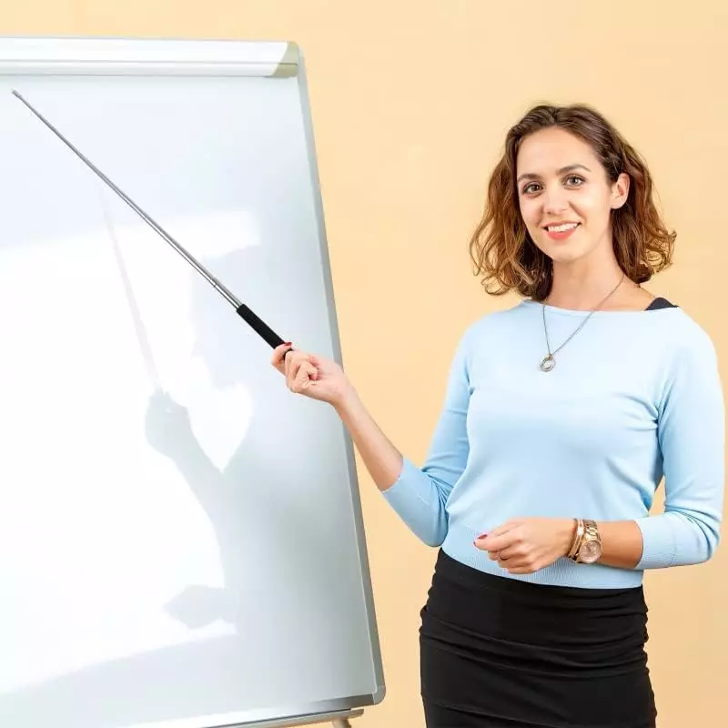 elysian-teaching-pointer-stick-stainless-steel-body-black-silver-color-with-65-cm-extended-length-wi-ss-pointer-65cm