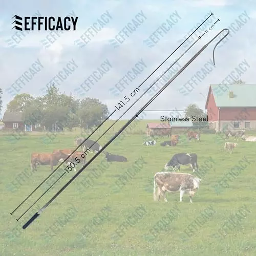 efficacy-chicken-leg-hook-with-long-handle-stainless-steel-body-silver-color-size-1415-cm-for-catching-chickens-turkeys-ducks-geese-wi-chicken-tool