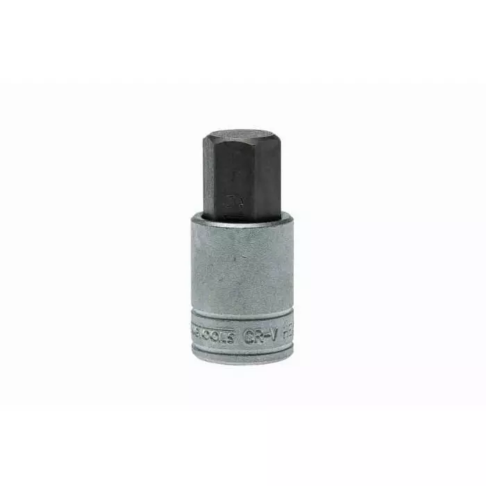 Teng Tools 1/2 inch Drive Bit Socket, Hex Bit, 19 mm, M121519-C