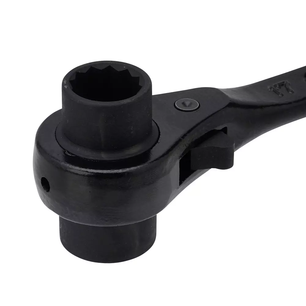 super-tool-double-end-ratchet-wrench-alloy-steel-310-mm-overall-length-rn1719