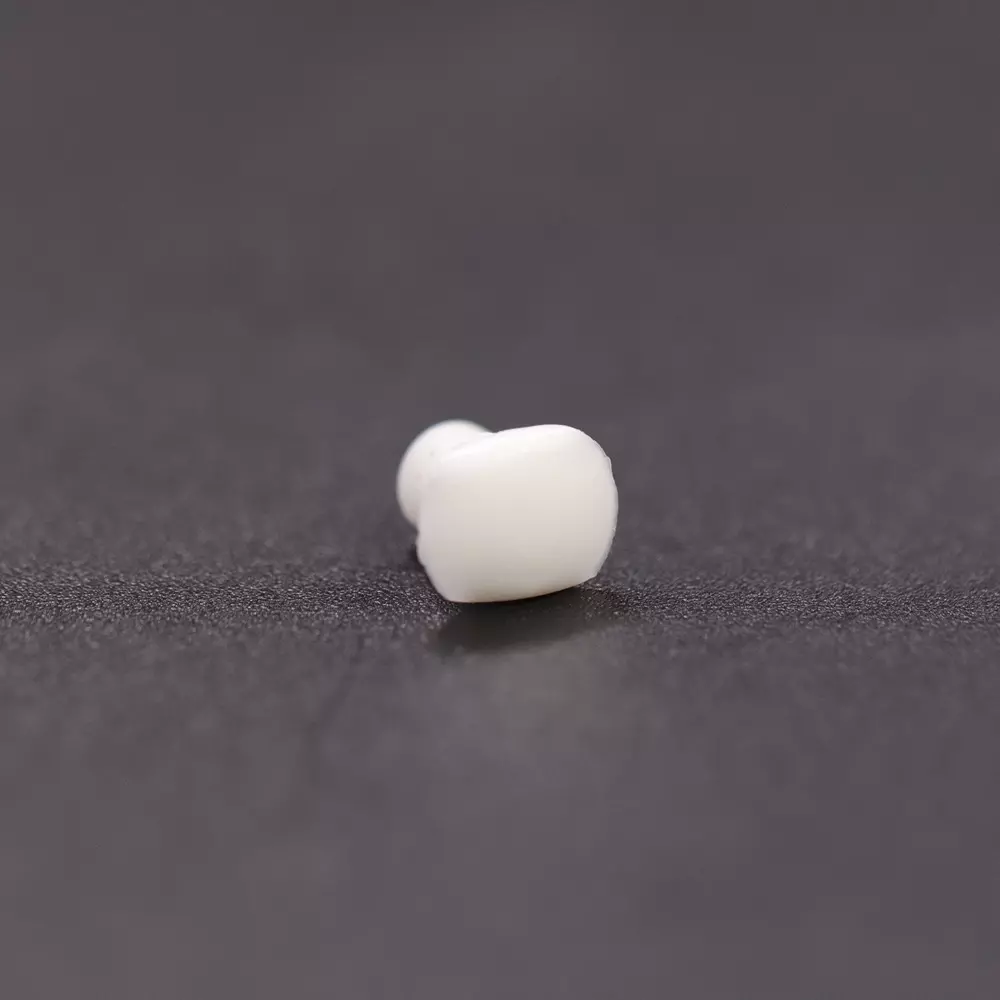 Ebco Plug White Finish and 5 mm Diameter, IP-5 (Pack of 1000)