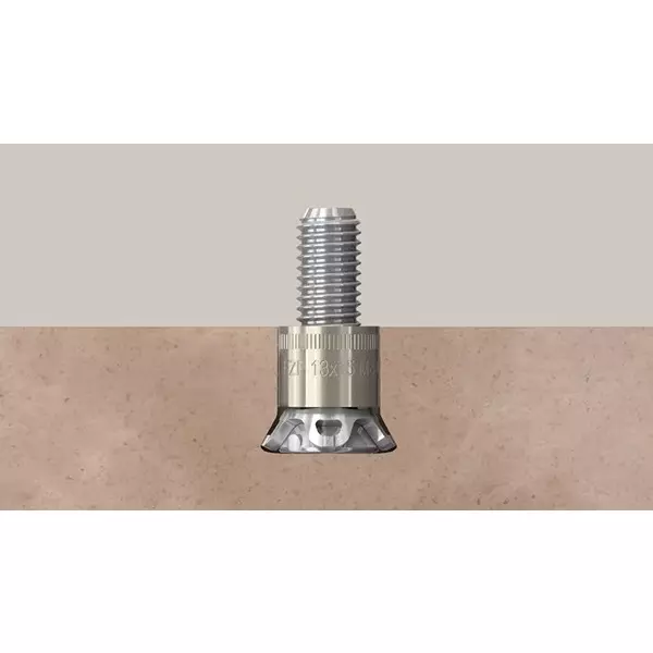 fischer-stailness-steel-panel-anchor-11x12-mm-dia-m6-thread-fzp-ii-11x12-m618-a4-pack-of-250-pcs