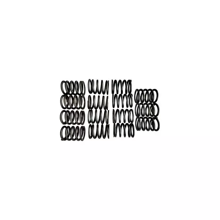 Valeo 15 Pcs Compression Coil Springs Kit for Industrial Use, 843359