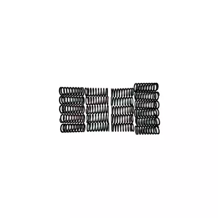 Valeo 20 Pcs Compression Coil Springs Kit for Industrial Use, 843356