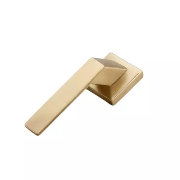 Paras Mortise Handle Stainless Steel Material Antique Brass (A/B) Finish for Wooden, Metal & Composite Doors, P 2067