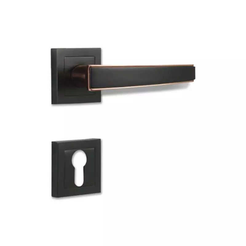 Godrej Door Handle Set 2C NEH 06 Matte Black Rose, 3741