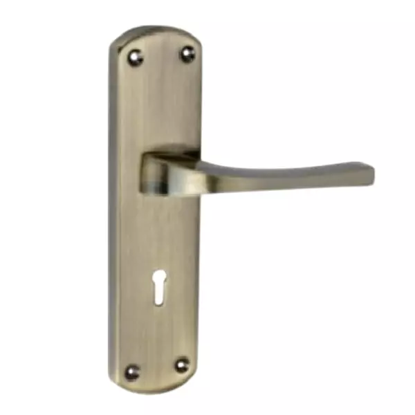 Tasa Mortise Handle Iron Stainless Steel Finish, MH-508