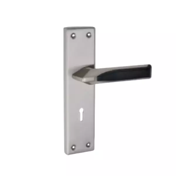 Tasa Mortise Handle Stainless Steel Finish, MH-LOROFY
