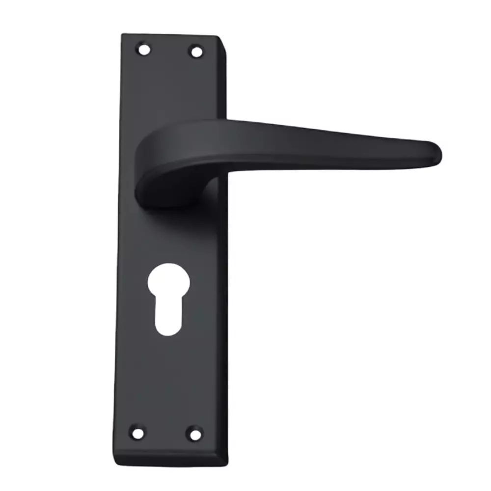 Harrison LEXUS Right Hand Side Door Handle White Metal 200 mm Plate Size Black Finish, 99700