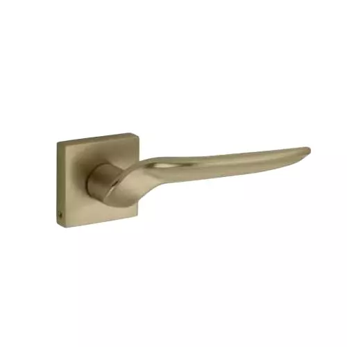 Jainson Locks Saga Olive Rose Door Handle Set Coin 60 mm Cylinder Size Matt Antique Finish, 522