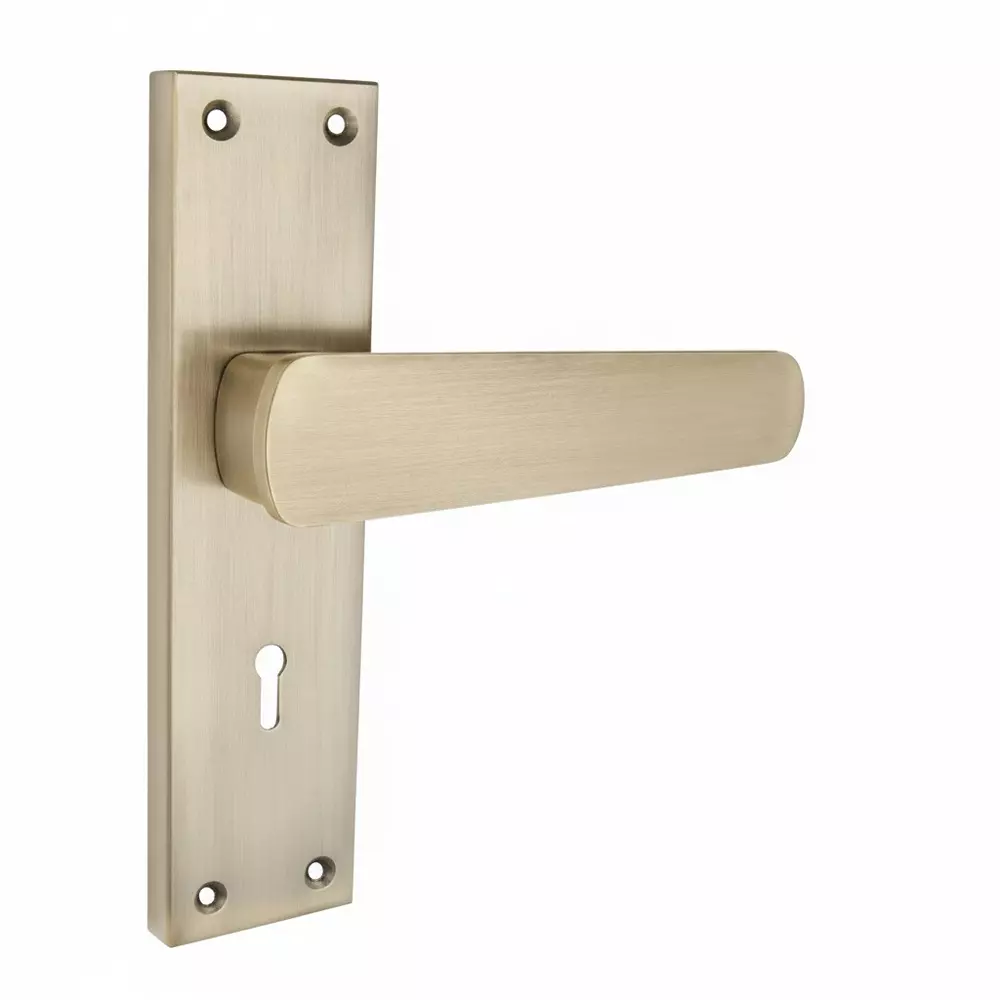 Harrison B-777 Series Mortise Lock Handle Aluminium Antique Finish with 3 Keys, 23518