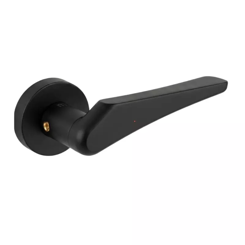 Hafele Left or Right Lever Door Handle Brass On Square Rose With Euro Profile Cylinder Escutcheon Black Matt Finish, 900.78.948
