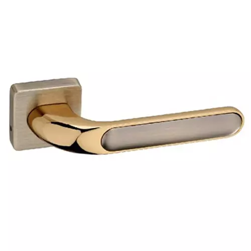 Europa Mortise Handle Zinc Antique Brass & Gold Finish, GMHZR670