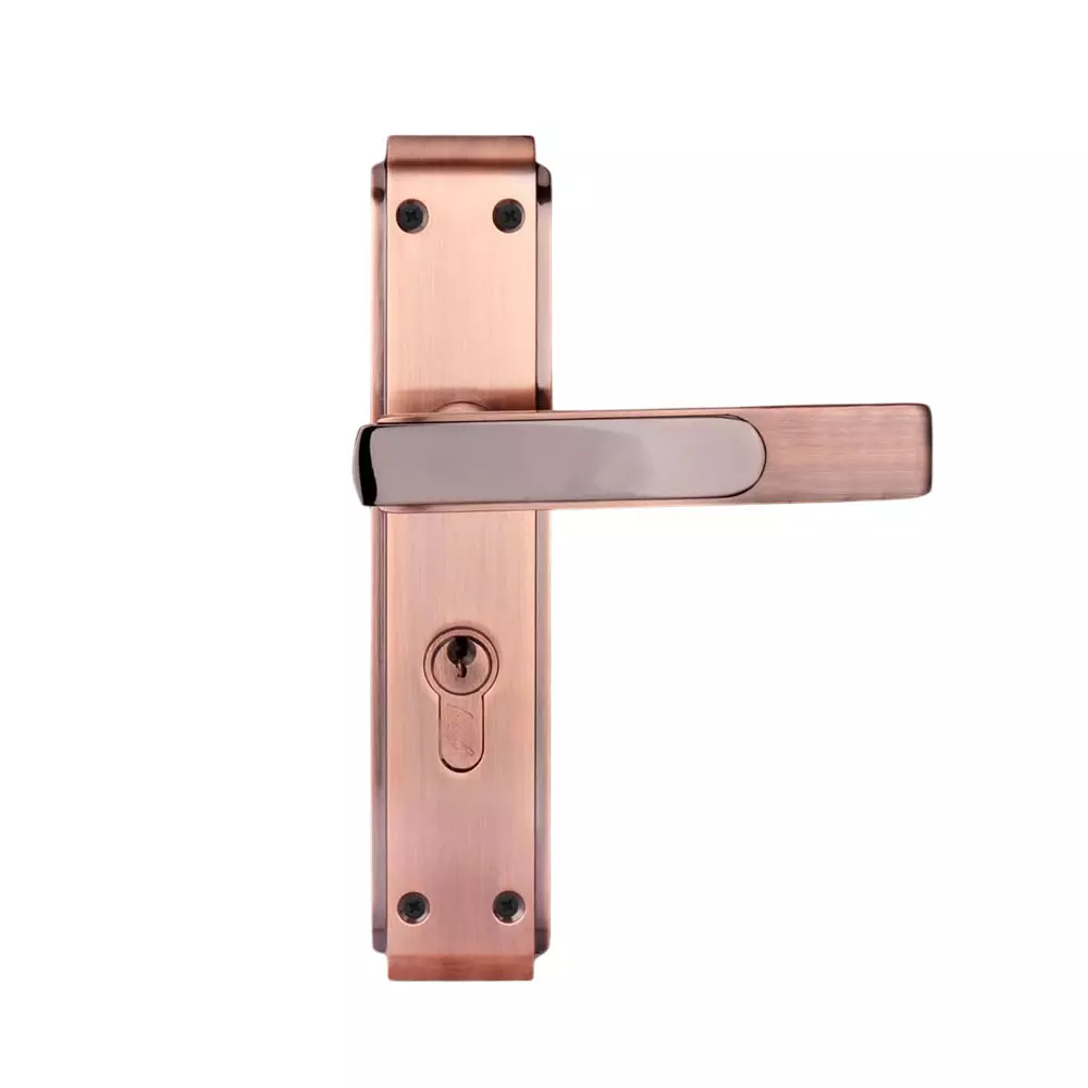 Godrej Door Handle Set 2C Gloria Series Deadbolt, Latch Bolt Locking Mechanism