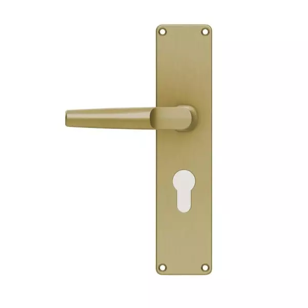 Godrej Door Handle Set 2C EM 01 Antique Brass 200 mm, 7753