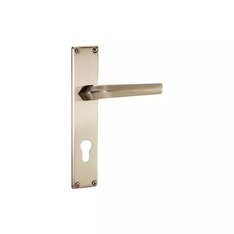 Godrej Door Handle Set 2C NEH 20 Satin Steel, 2947