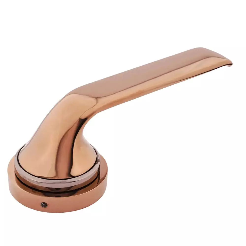 Magmus Mortise Handle Set Brass (SJ - 377)