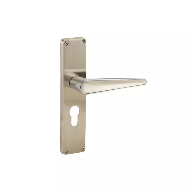 Godrej Door Handle Set 1CK NEH 19 Satin Steel, 2663