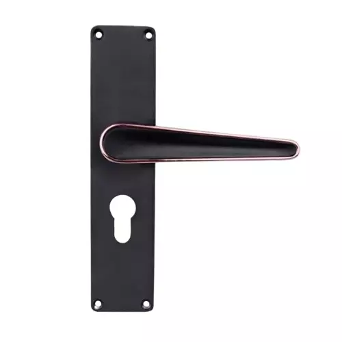 Godrej Door Handle Set 2C NEH 19 Matte Black Rose, 3190
