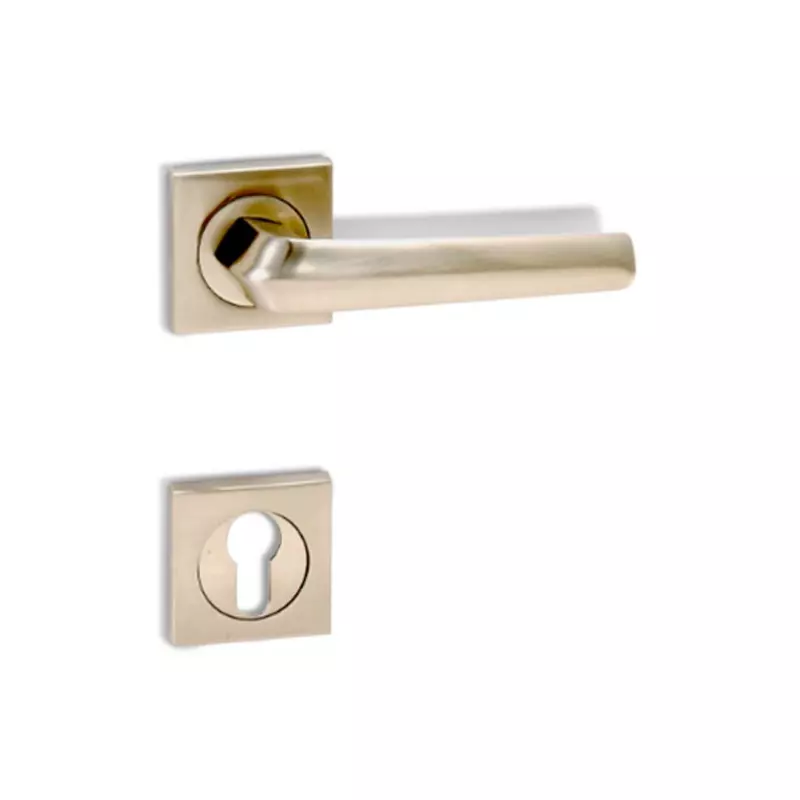 Godrej Door Handle Set 2C NEH 20 Satin Steel, 2945