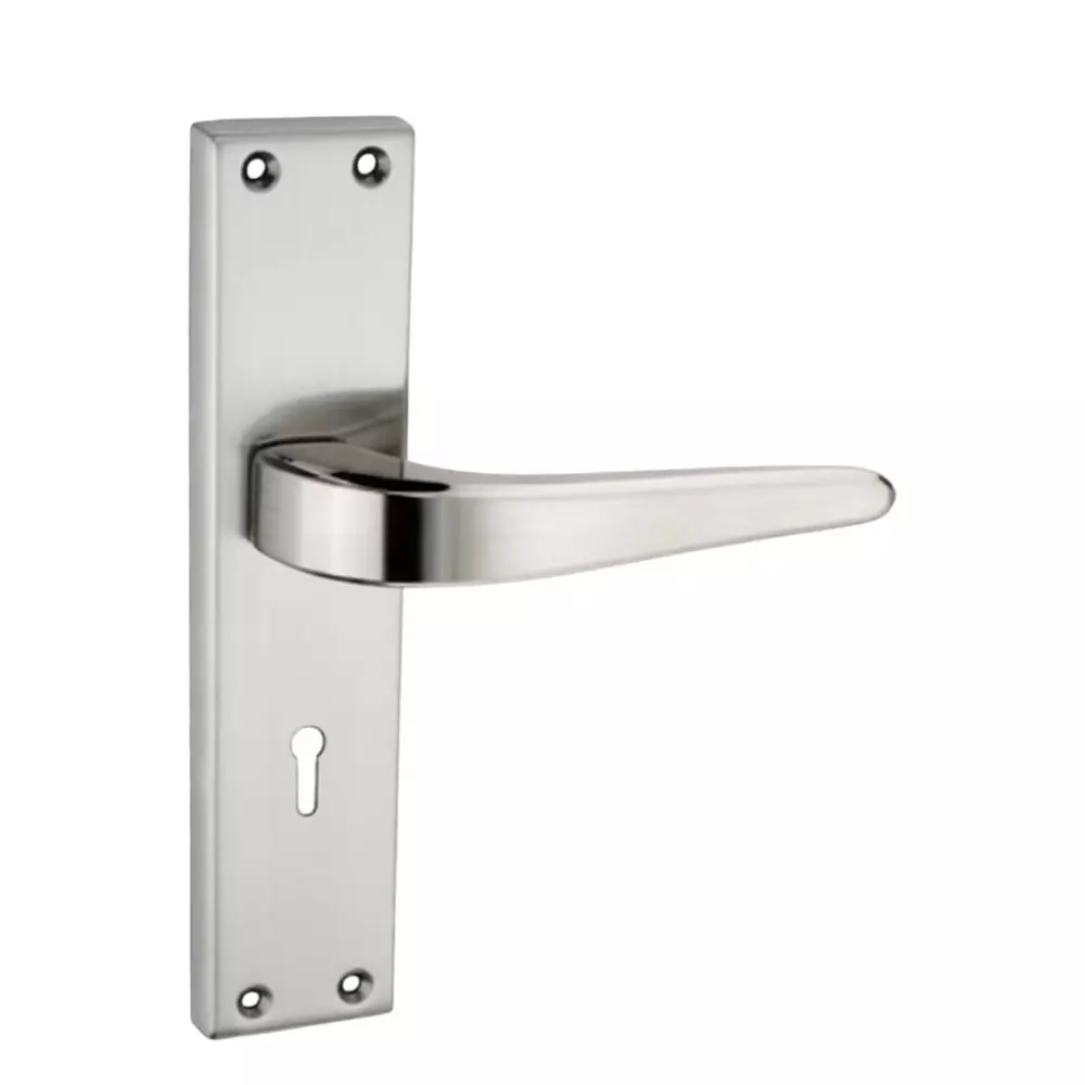 Harrison LEXUS Right Hand Side Door Handle White Metal 200 mm Plate Size SS Finish, 99500