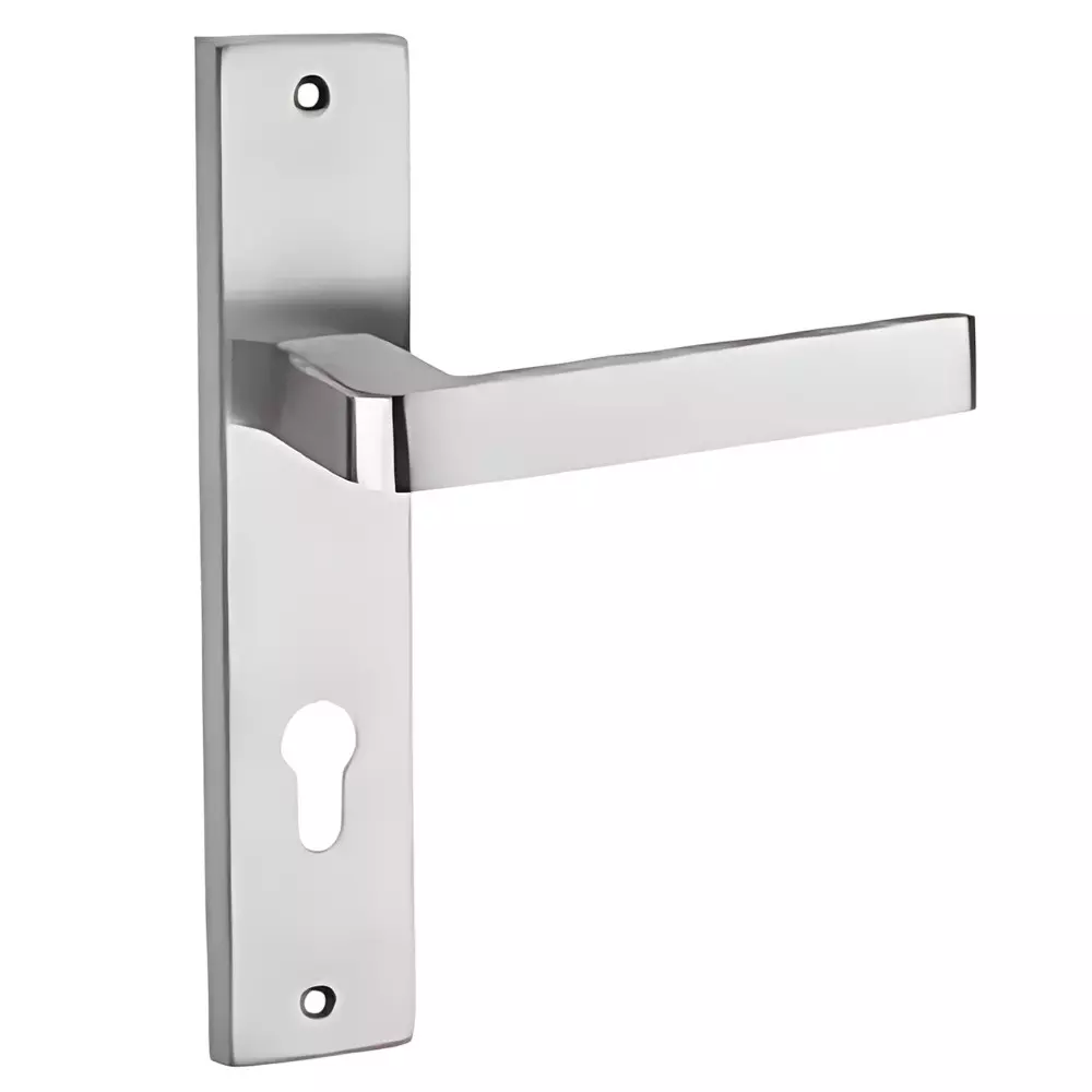GEZE Plate Size 10 inch (25.4 cm), Lock Hole Centre 85 mm, SS Finish Stainless Steel 304 Body, 8116423