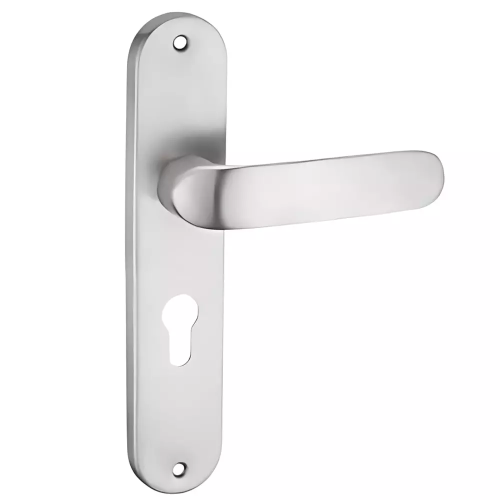 GEZE Plate Size 10 inch (25.4 cm), Lock Hole Centre 85 mm, SS Finish Stainless Steel 304 Body, 8116429