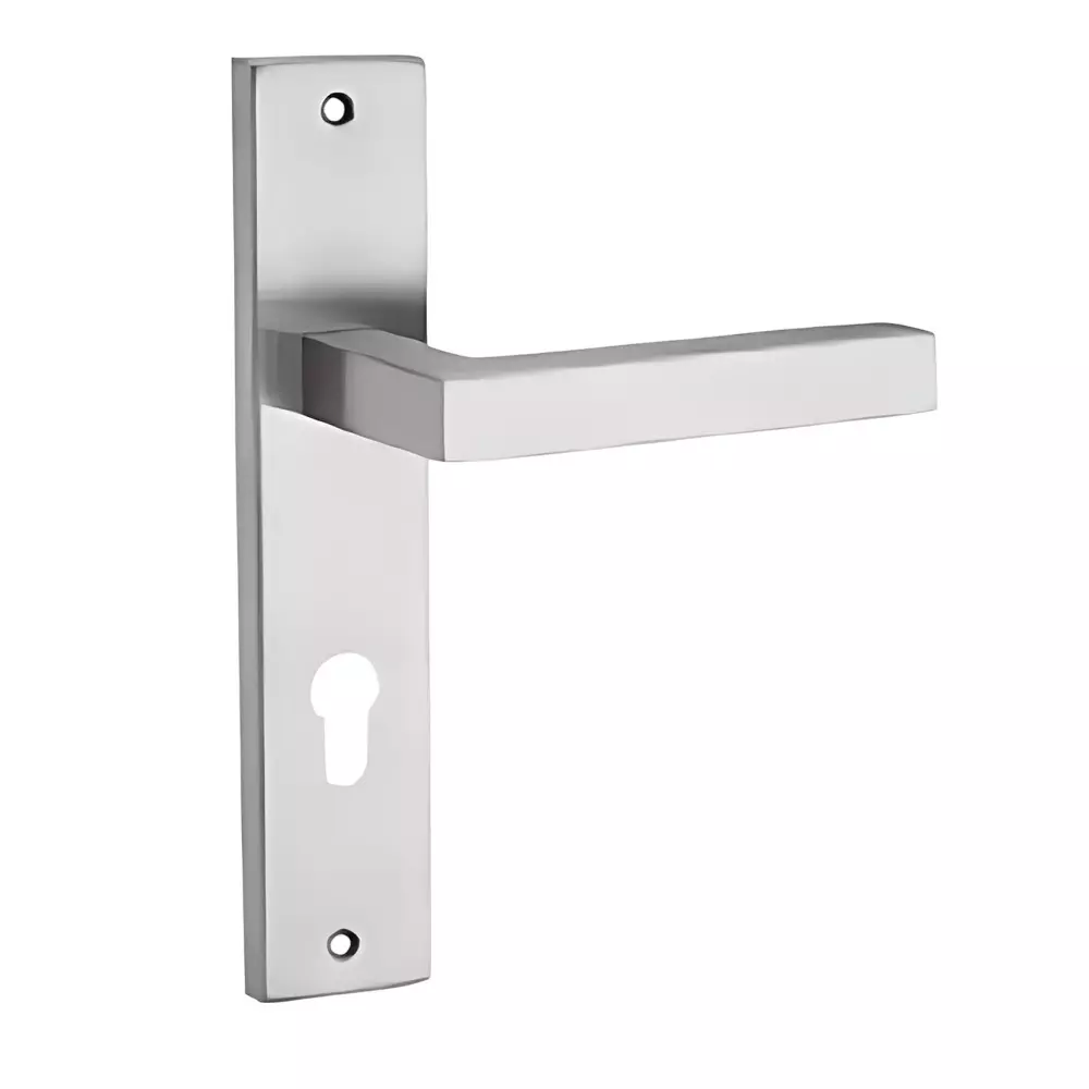 GEZE Plate Size 10 inch (25.4 cm), Lock Hole Centre 85 mm, SS Finish Stainless Steel 304 Body, 8116414