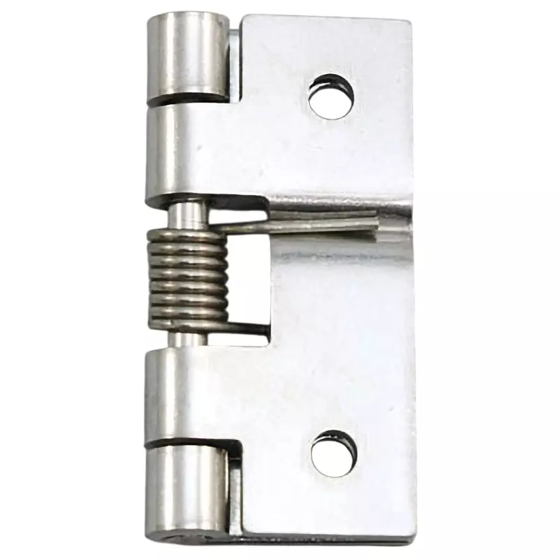 TAKIGEN Stainless Steel Hinge With Spring (Total Length = 38), B-1046-G-2