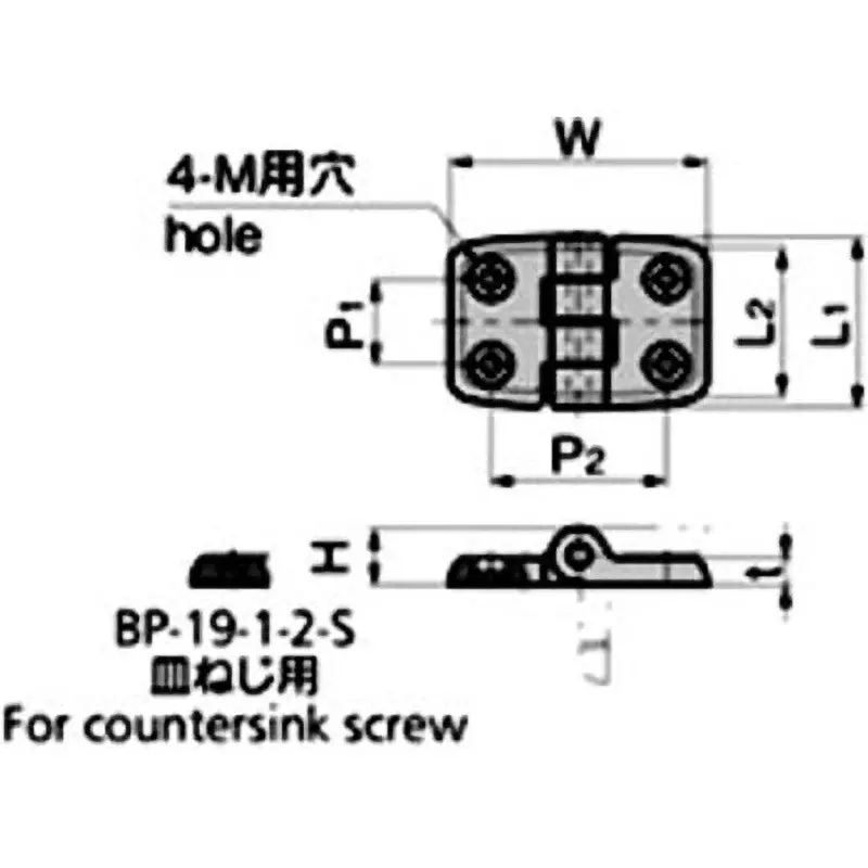 TAKIGEN Marine Hinge for Pan/Binding Screw 19 g, BP-19-1-2-B-Ivory
