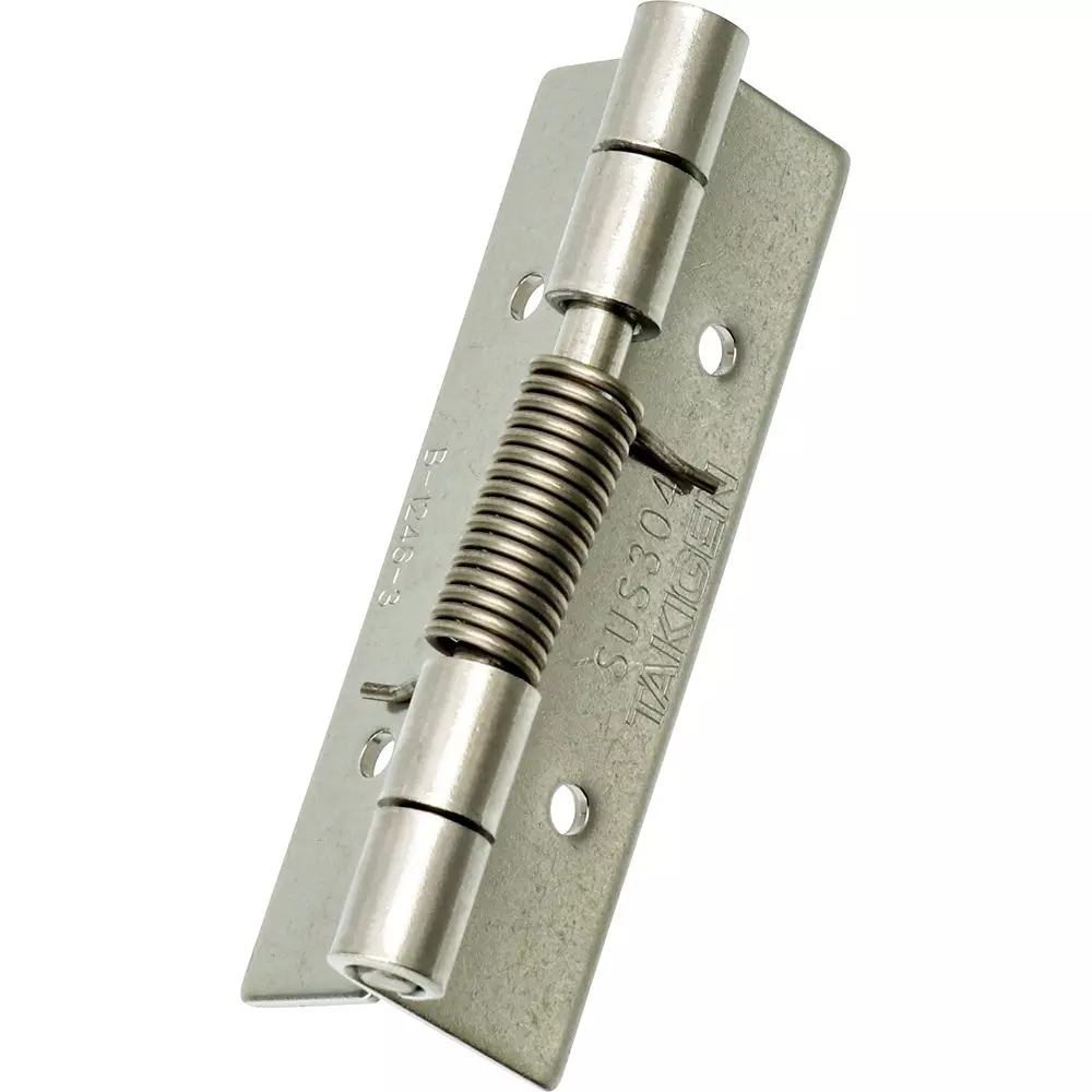 TAKIGEN Stainless Steel Hinge Glossy Barrel Polishing with Spring, B-1246-3