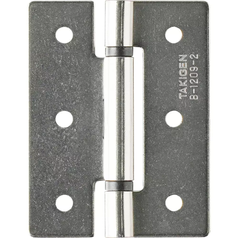 TAKIGEN Stainless Steel Flat Torque Hinge Gloss Barrel Polishing, B-1209-2