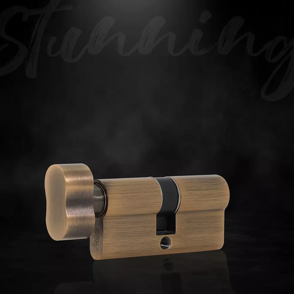 yale-euro-profile-cylinder-100-mm-thumbturn-with-key-6-pin-tumbler-mechanism-antique-brass-brass-100-mm-tt-ab-dk-s