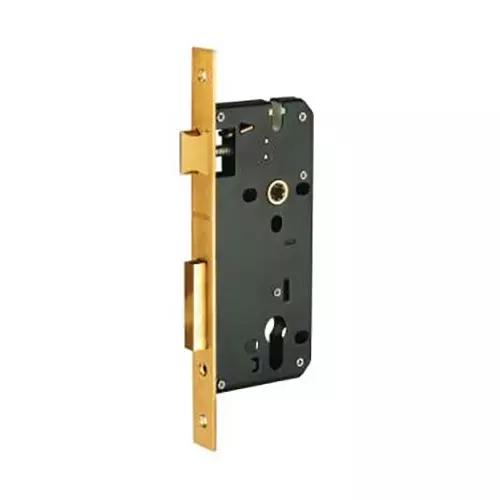 Europa Mortise Lock Body 9 inch (228 mm) Gold Finish, B901