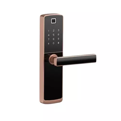 Godrej Digital Mortise Lock Catus Touch Plus 60 mm Rose Gold, 4215