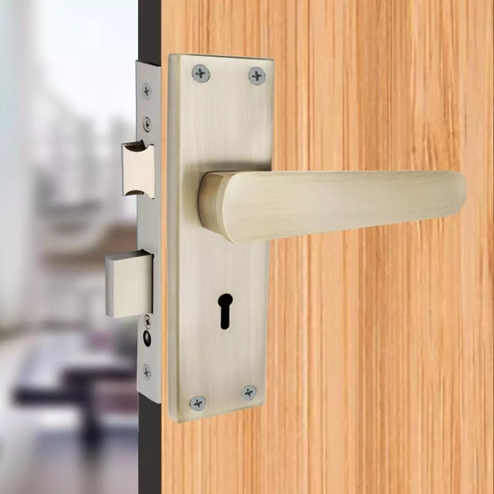 Harrison B-777 Series Mortise Lock Set 60 mm Aluminium Antique Finish with 3 Keys, 23618