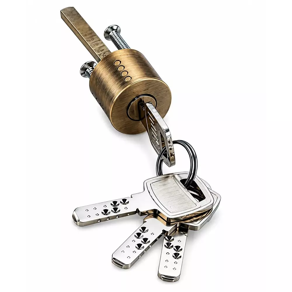 dm-locks-20-x-20-x-10-cm-stainless-steel-heavy-tribolt-door-lock-antique-finish-mdl-6003