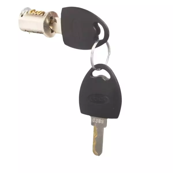 Ebco Premium Lock Core With 2 Keys Nickel Plated Finish Metal Body and Standard Core, P-LC1