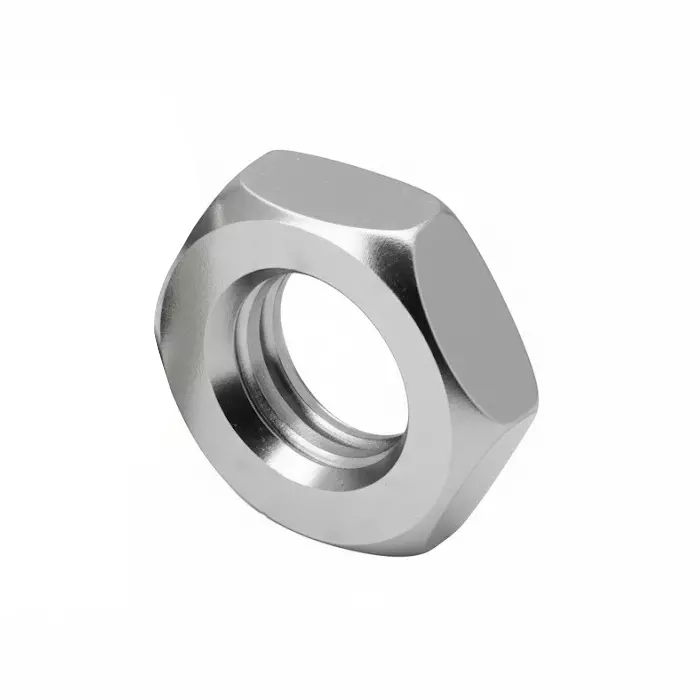 APL Lock Nut Stainless Steel 304 M 27 Size (Pack of 100)