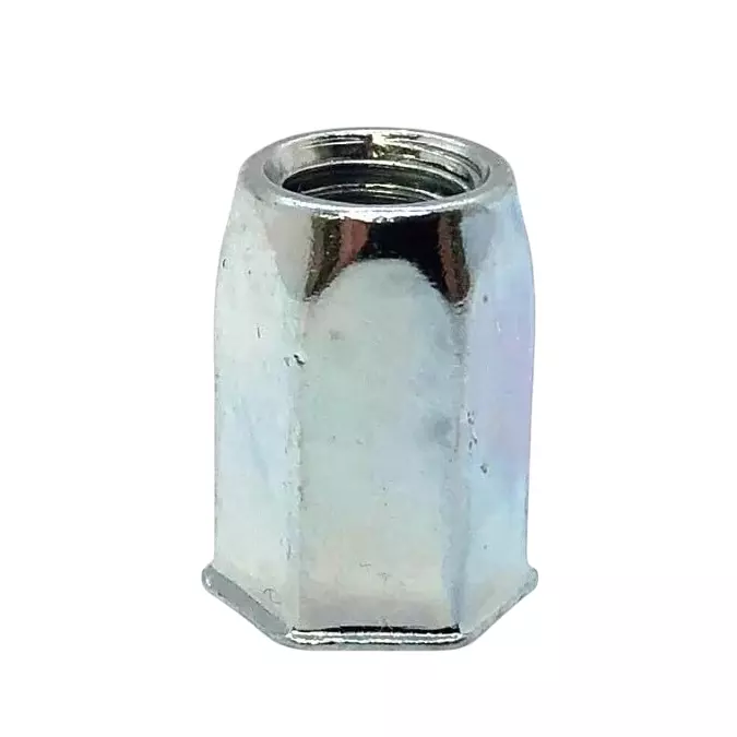 GENERIC 6x15 mm Hex Blind Rivet Insert Nut Full Body Alloy Steel (Pack of 100 Pcs)