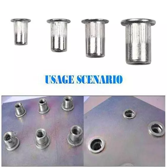 GENERIC M8 Blind Rivet Nut Insert Carbon Steel for Elevators Automobile Switches (Pack of 50 Pcs)