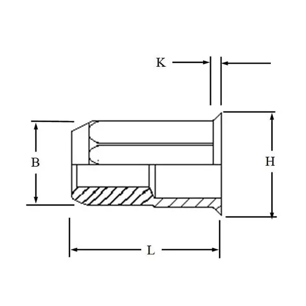 GENERIC 6x15 mm Hex Blind Rivet Insert Nut Full Body Alloy Steel (Pack of 10 Pcs)