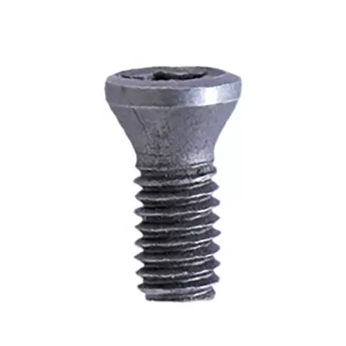 REZKA Star Screw Stainless Steel (Pack of 100)