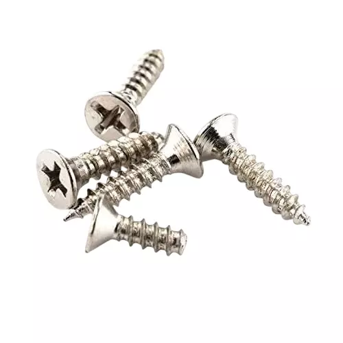 MED BUDDY Phillip Head Self Tapping Screws 2x6 mm Chrome Finish (Pack of 500 Pcs)