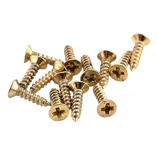 MED BUDDY Phillip Head Self Tapping Screws 2x6 mm Golden Chrome Finish (Pack of 500 Pcs)